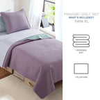 Vinmora™ Campus Comforts by New Sega Home 2-Piece Pinsonic - Premium Comforter Set by Vinmora™