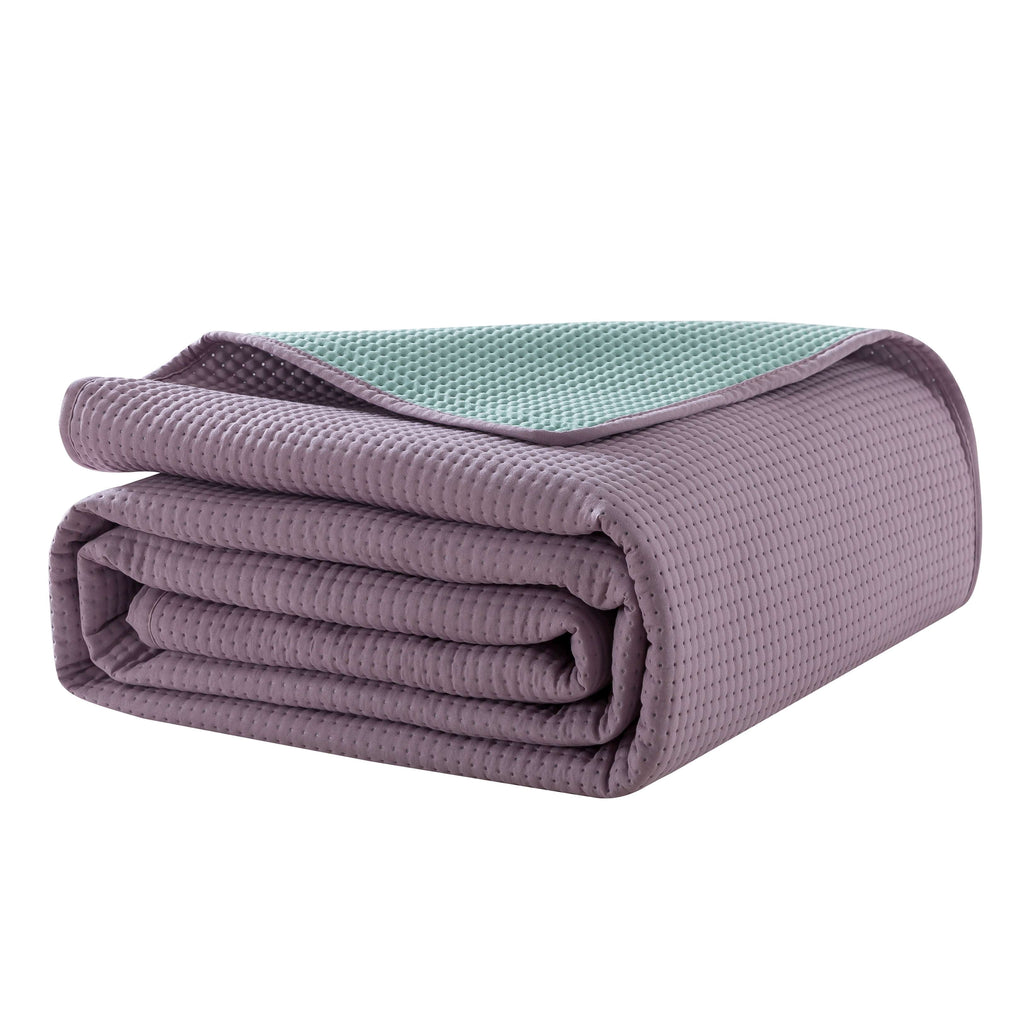 Vinmora™ Campus Comforts by New Sega Home 2-Piece Pinsonic - Premium Comforter Set by Vinmora™