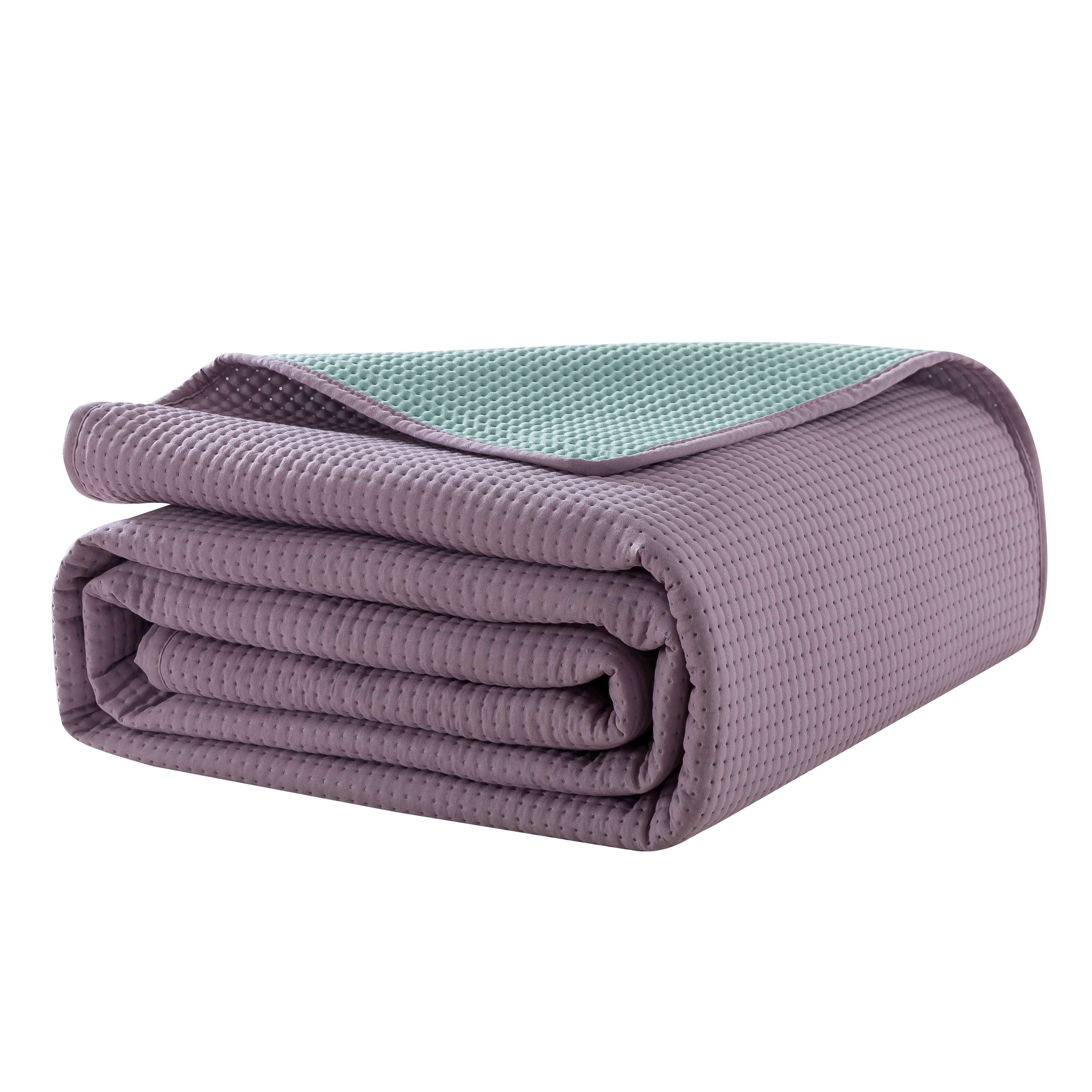 Vinmora™ Campus Comforts by New Sega Home 2-Piece Pinsonic - Premium Comforter Set by Vinmora™