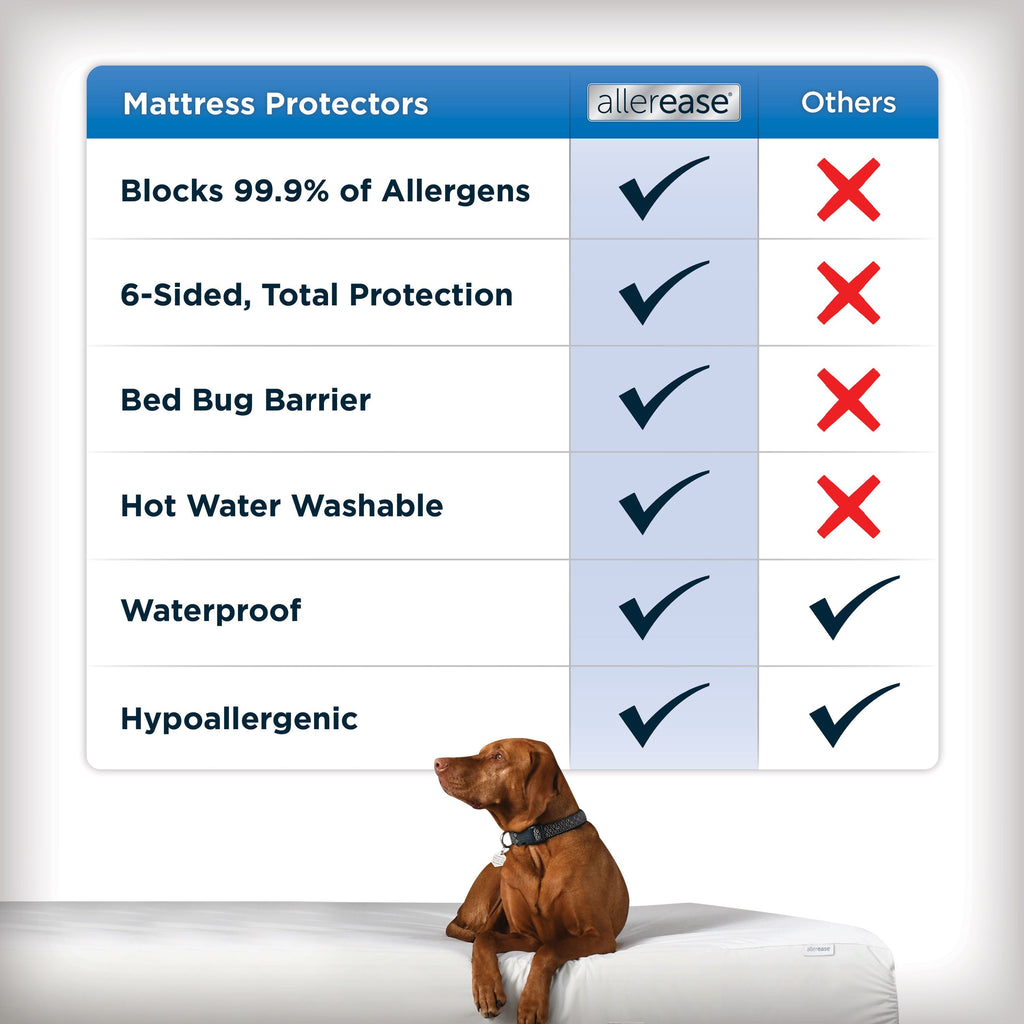 Vinmora™ Maximum Mattress Cover Protector, Queen - Premium Mattress Protector & Topper by Vinmora™