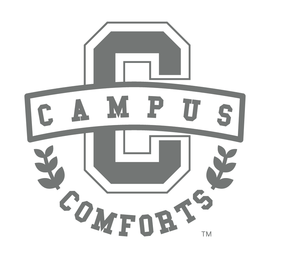 Vinmora™ Campus Comforts by New Sega Home 2-Piece Pinsonic - Premium Comforter Set by Vinmora™
