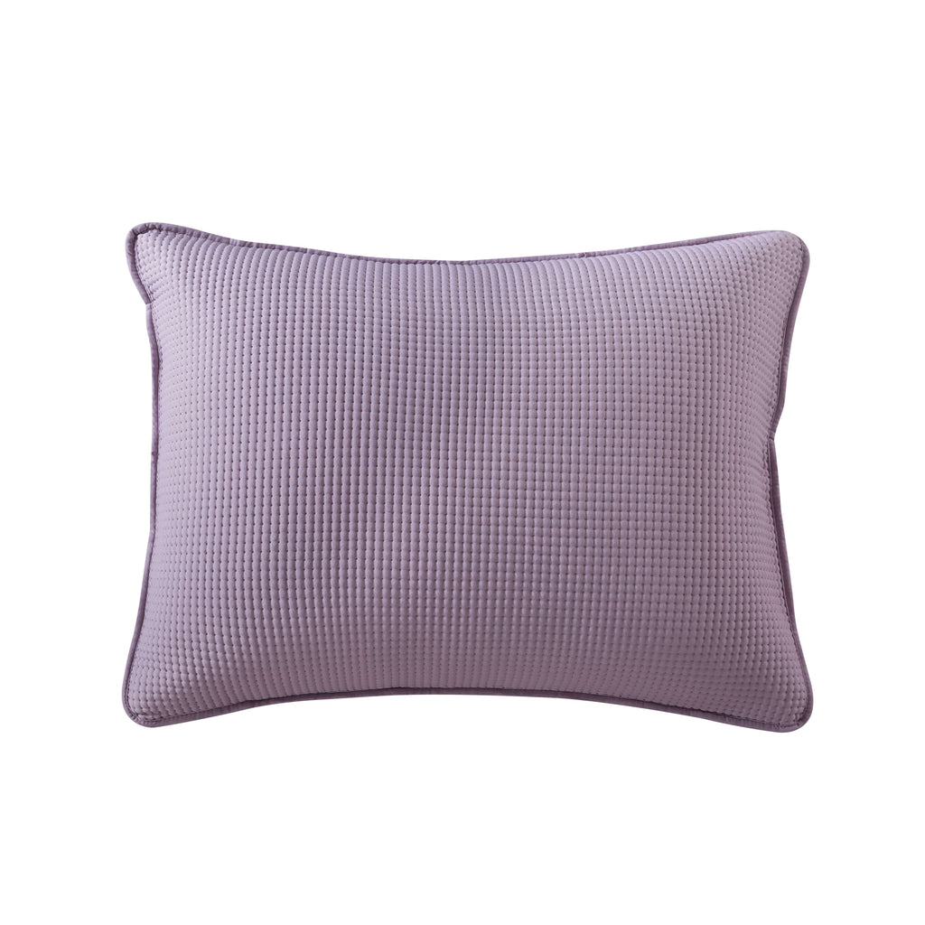 Vinmora™ Campus Comforts by New Sega Home 2-Piece Pinsonic - Premium Comforter Set by Vinmora™
