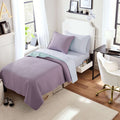 Vinmora™ Campus Comforts by New Sega Home 2-Piece Pinsonic - Premium Comforter Set by Vinmora™